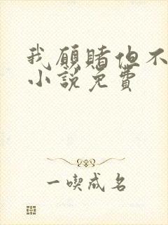 我愿赌但不服输小说免费