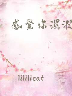 感觉你湿润我