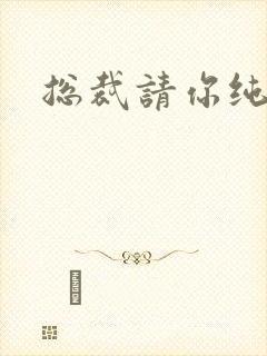 总裁请你纯洁点