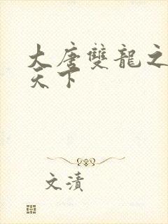 大唐双龙之无敌天下