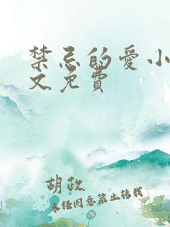 禁忌的爱小说全文免费