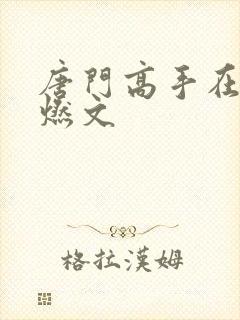 唐门高手在异世燃文