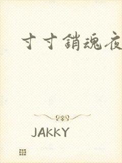 寸寸销魂夜春光