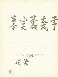 宁小茶太子殿下今天破戒了吗免费阅读