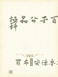 极品公子百度百科