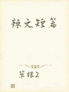 辣文短篇