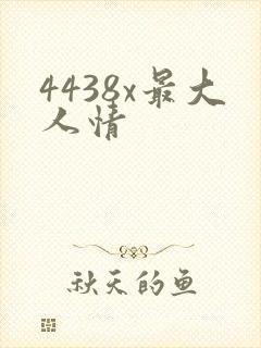 4438x最大人情