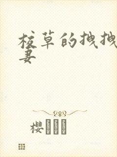 校草的拽拽未婚妻