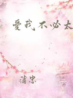 爱我不必太痴心