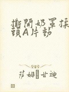 撕开奶罩揉吮奶头A片动