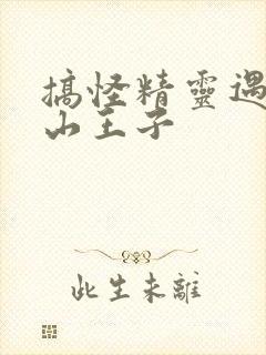 搞怪精灵遇上冰山王子