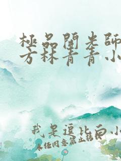 极品开光师李南方林青青小说叫