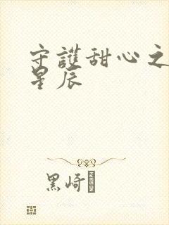 守护甜心之暗夜星辰