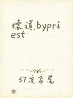 坏道bypriest