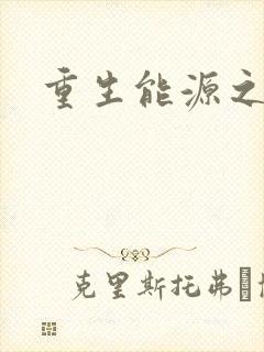 重生能源之王
