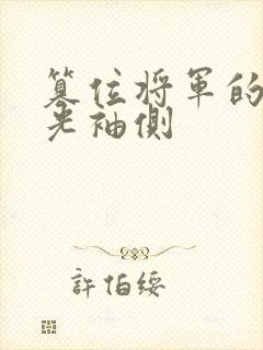 篡位将军的白月光袖侧