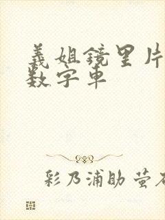 义姐镜里片微博数字车