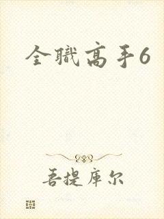 全职高手6