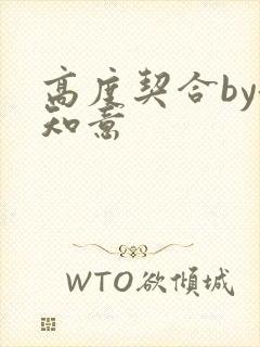 高度契合by洛知意
