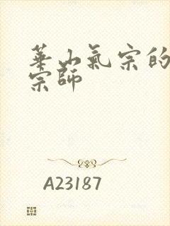 华山气宗的形意宗师