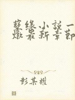 孽缘小说一家乱炖最新章节阅读