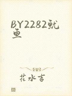BY2282鱿鱼