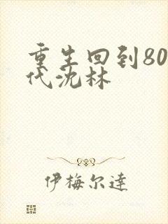 重生回到80年代沈林