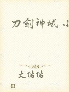 刀剑神域 小说