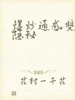 爆炒通感双胞胎隐秘