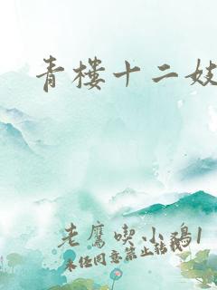 青楼十二妓
