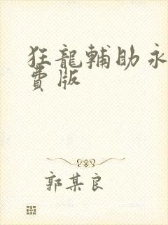 狂龙辅助永久免费版