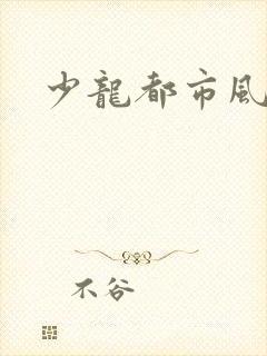 少龙都市风流行
