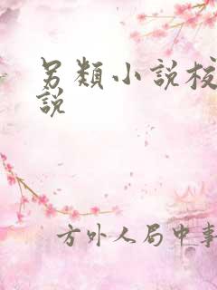 另类小说校园小说