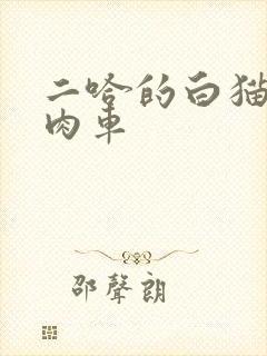 二哈的白猫师尊肉车