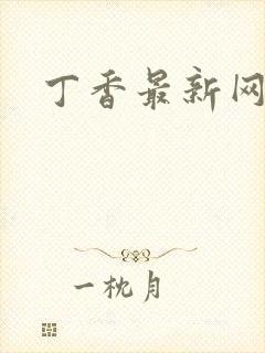 丁香最新网址