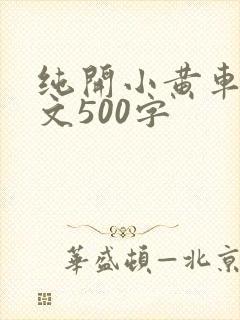 纯开小黄车小短文500字
