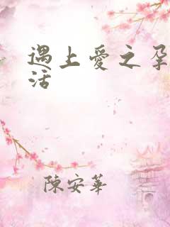 遇上爱之孕夫生活