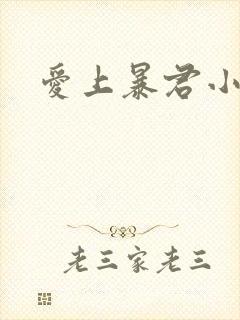 爱上暴君小甜心