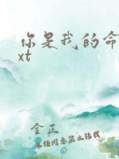 你是我的命运txt