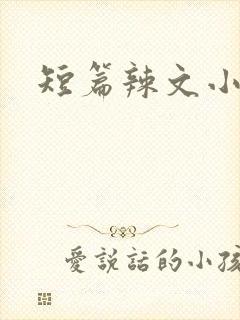 短篇辣文小说