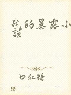 我的暴露小说小说