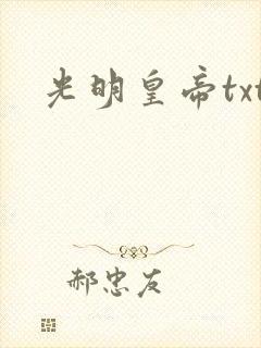 光明皇帝txt