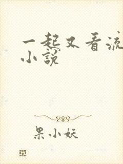 一起又看流星雨小说