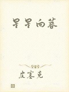 星星向蓉