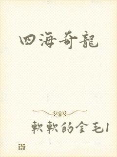 四海奇龙