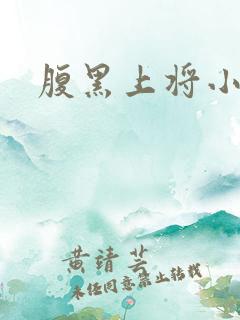 腹黑上将小小妻