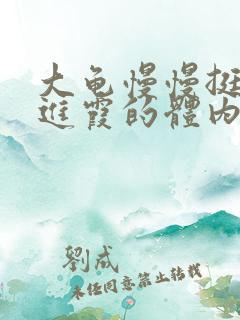 大龟慢慢挺进王进霞的体内