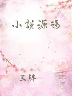 小说源码
