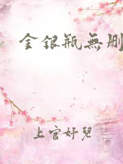 金银瓶无删除
