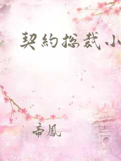 契约总裁小萌宝